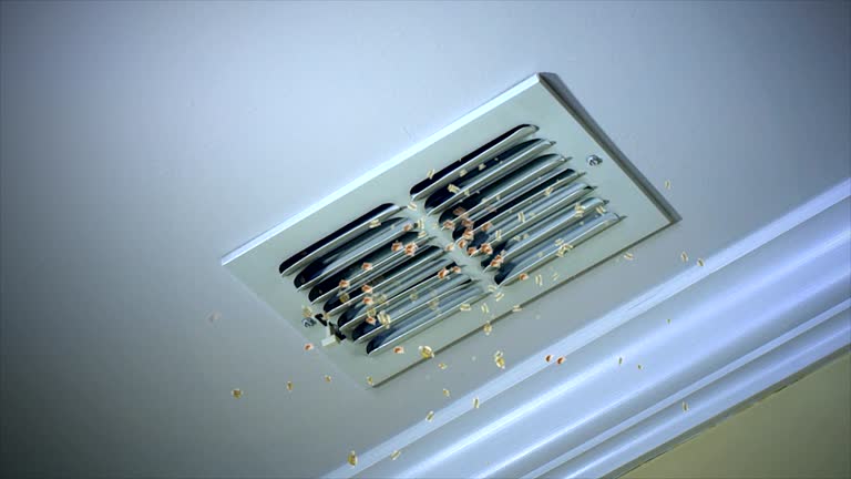 Best Ductwork Cleaning Services  in Hampshire, IL