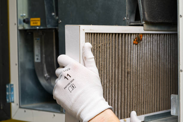 Best Home Air Vent Cleaning  in Hampshire, IL